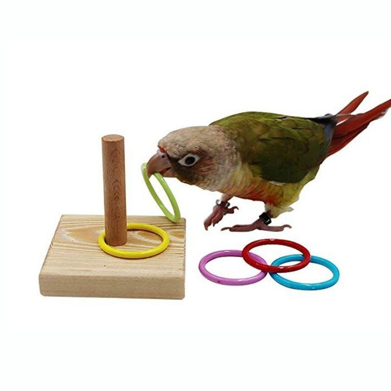 Bird Training Ring Toy Parrot  - Gymnastic Ring Wood avis et prix