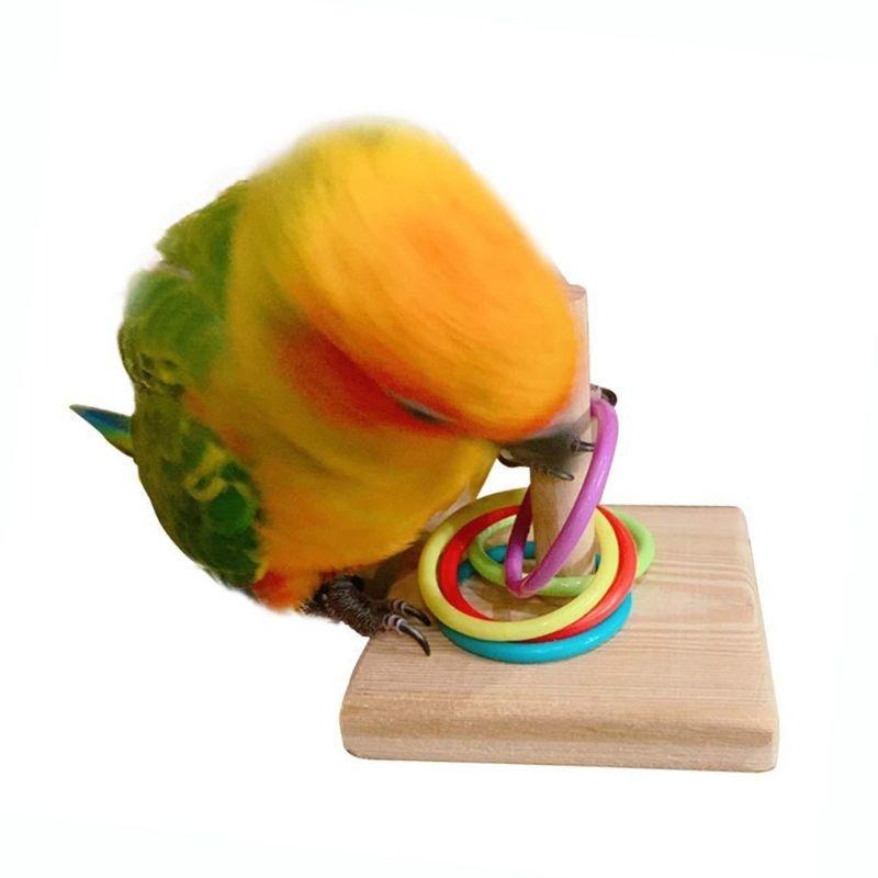 Bird Training Ring Toy Parrot  - Gymnastic Ring Wood avis et prix